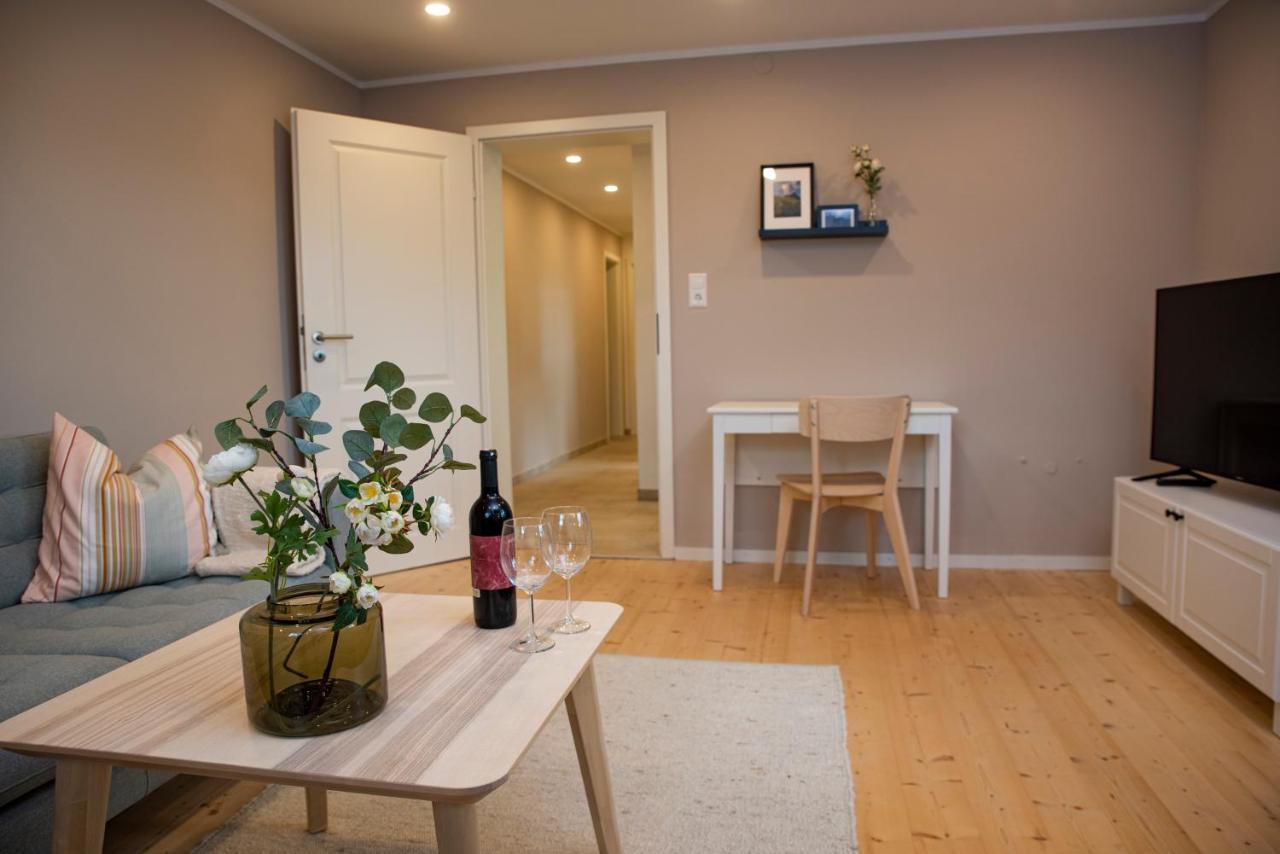 Moderne Wohnung Im Gruenen Mit Privatem Garten Donaueschingen Exterior photo
